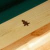 Ponderosa Pine Pool Table